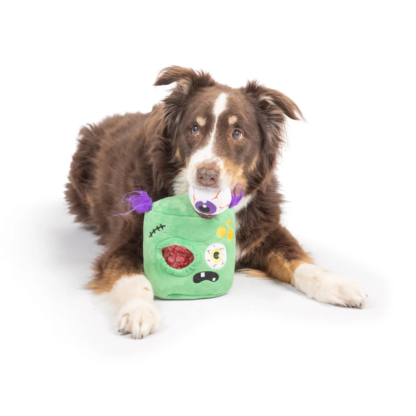 Zombie Pop-eye Dog Toy