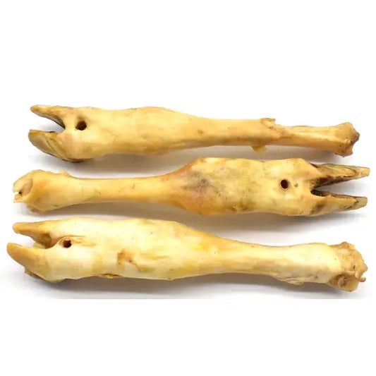 Lamb Trotter