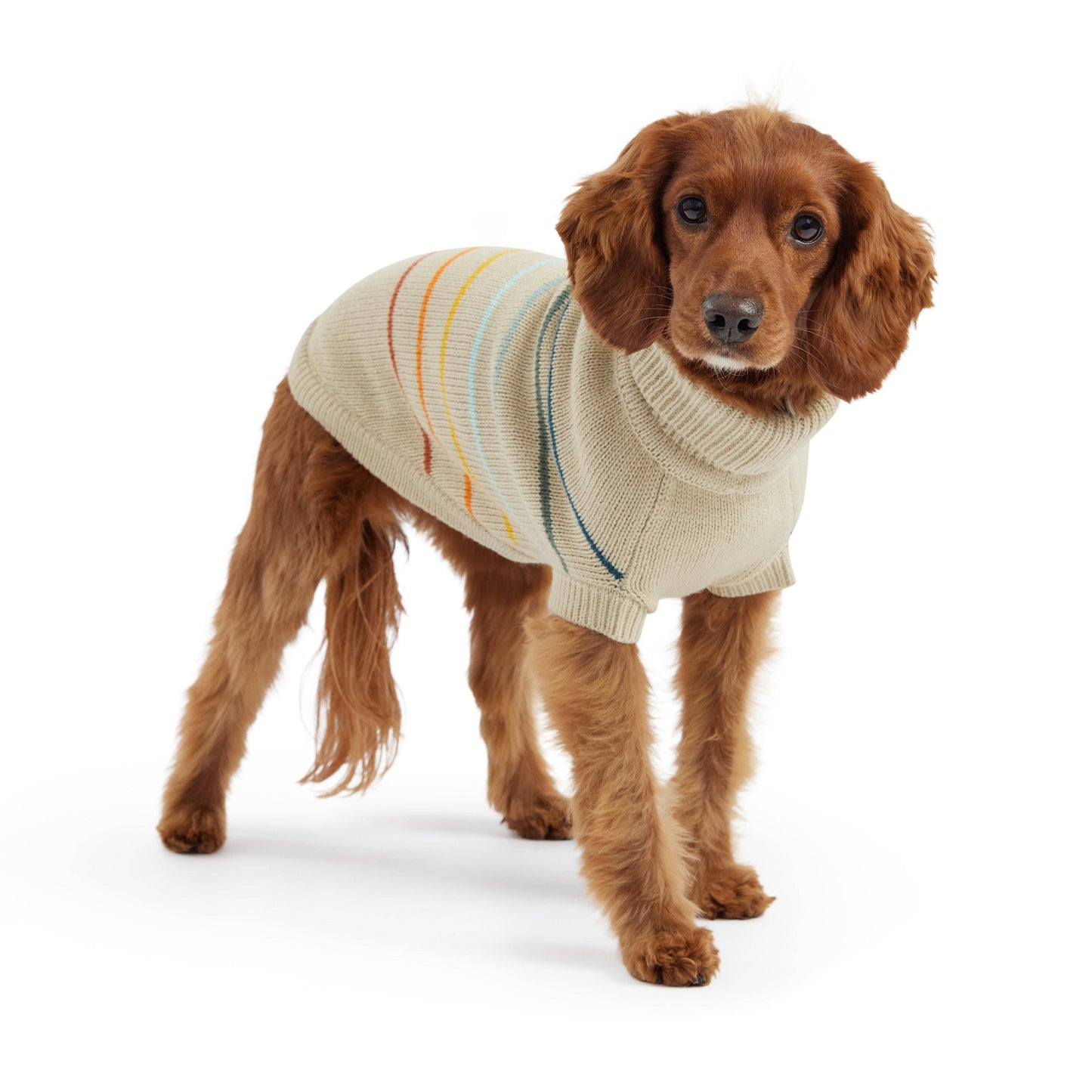 Arctic Sweater by GF Pet