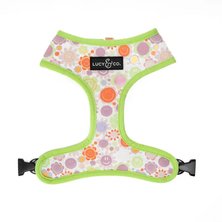 Checked Out Reversible Harness | Lucy & Co