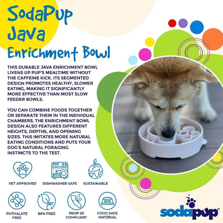 Soda Pup Java Cup Slow Feeder