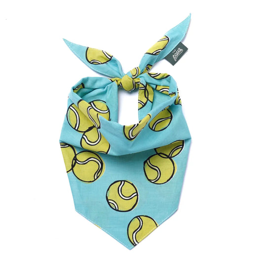 Fetch Bandana