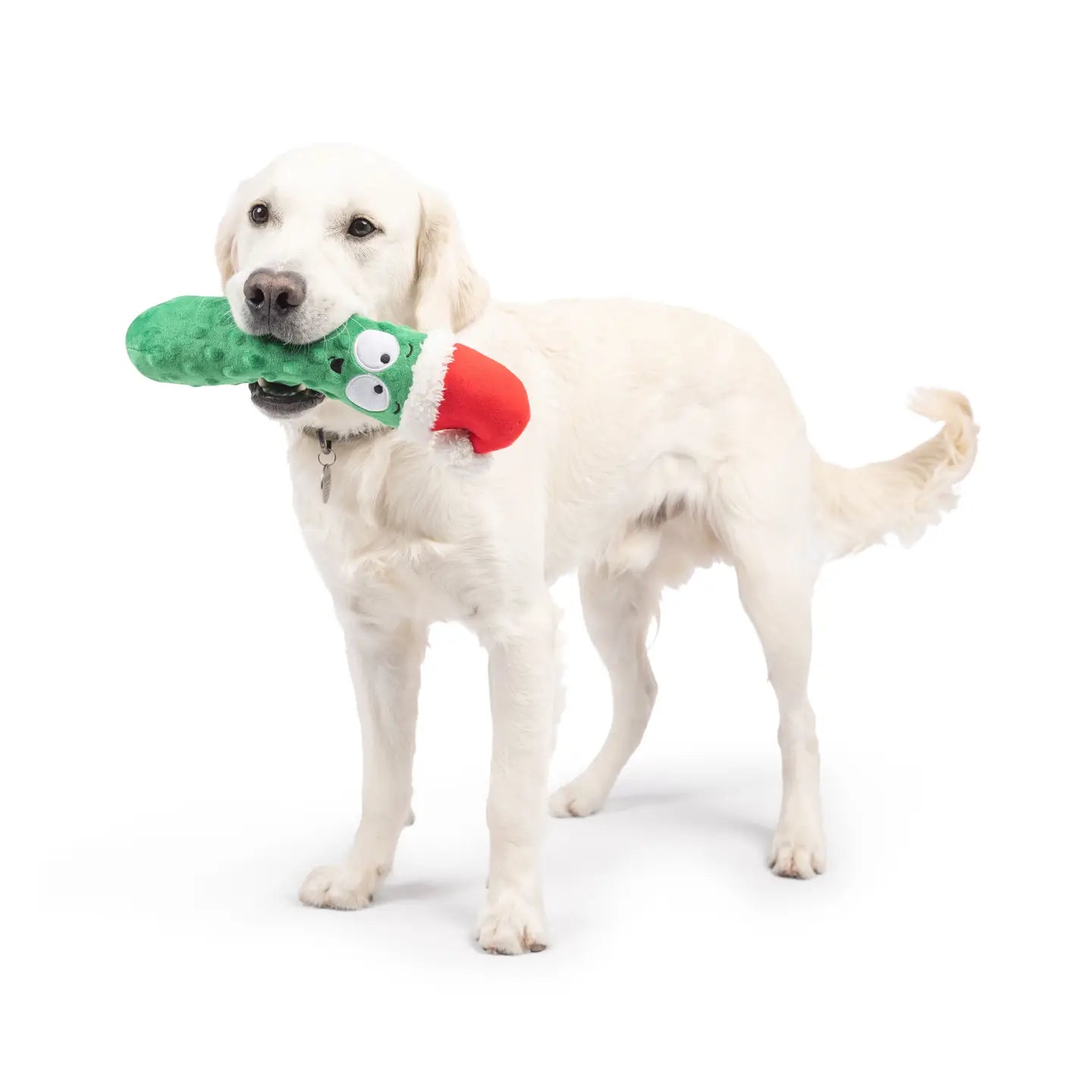 Fetchies® Dilly Claus Dog Toy