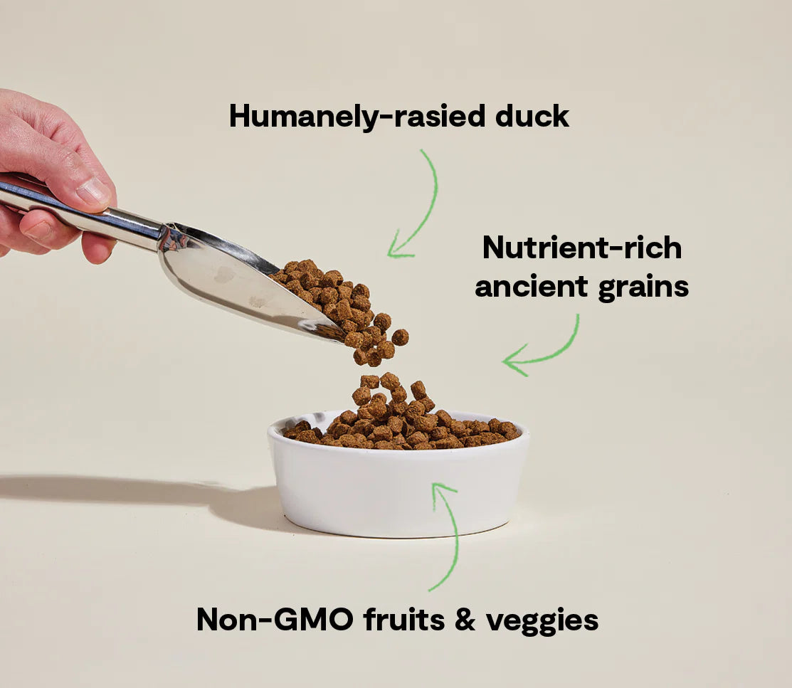 Open Farm Farmstead Duck & Ancient Grains Dry Dog Food