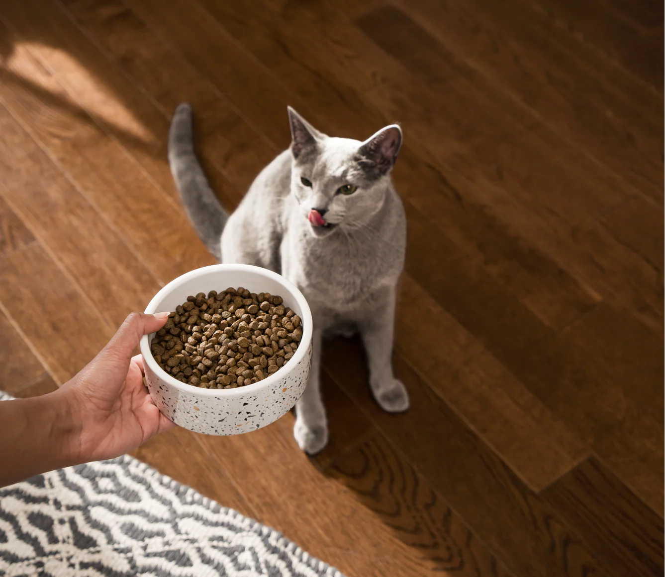 Open Farm Farmstead Duck Grain Free Dry Cat Food