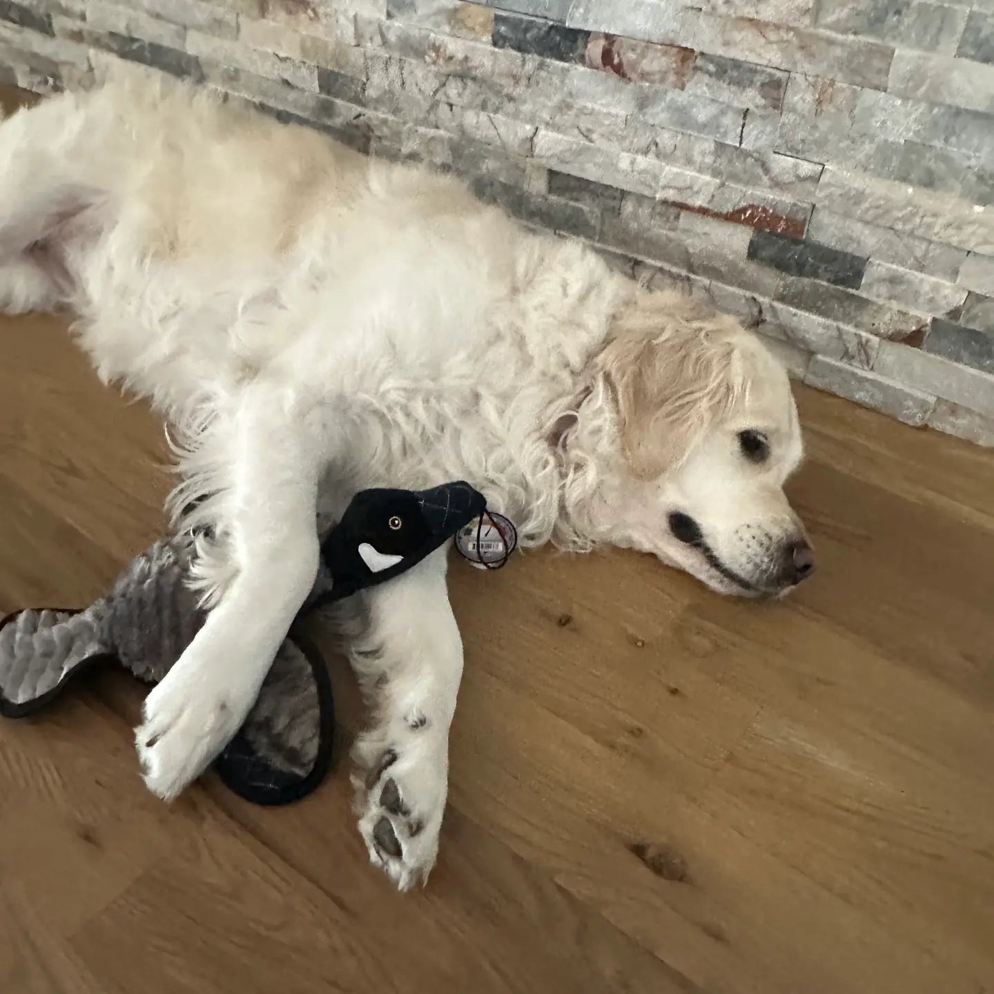 2-in-1 Ruffian Goose Toy