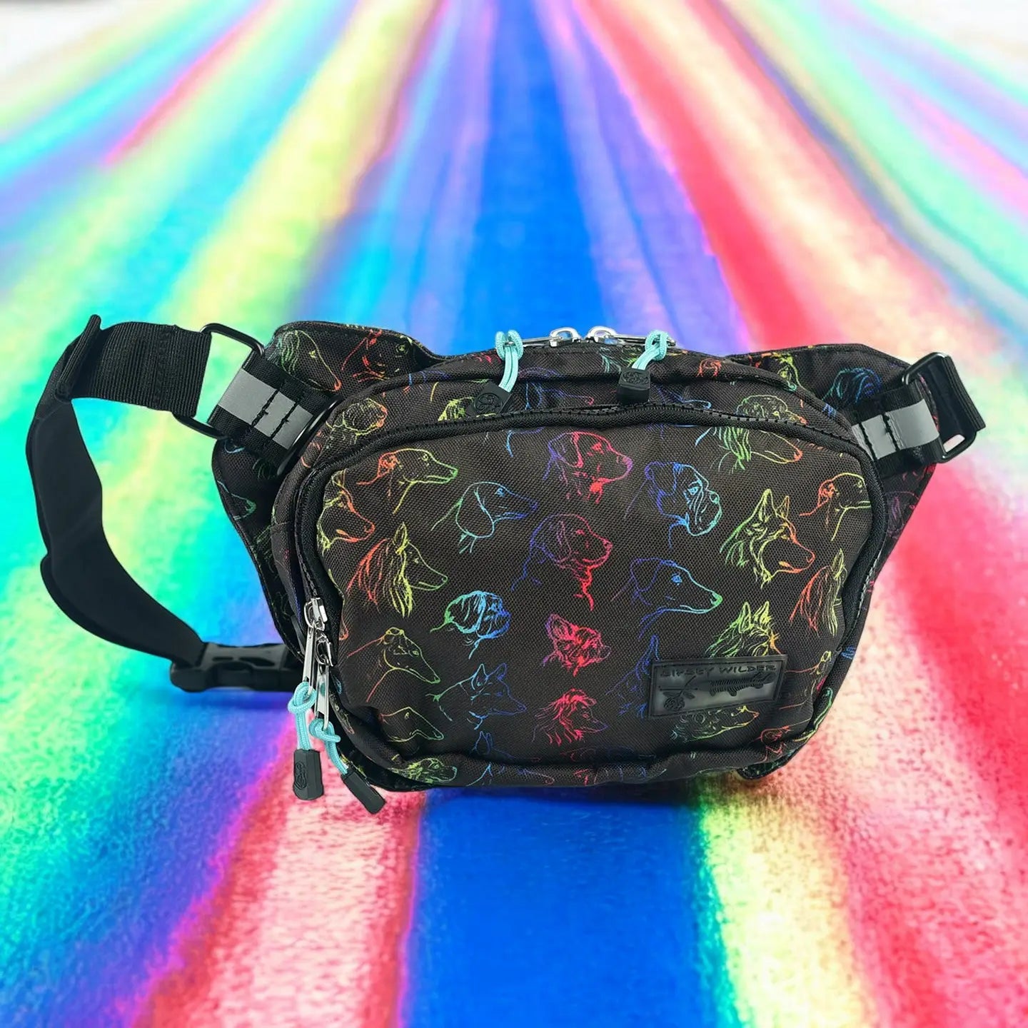 Sipsey Wilder Head of the Class Rover Hip Pack 2.0