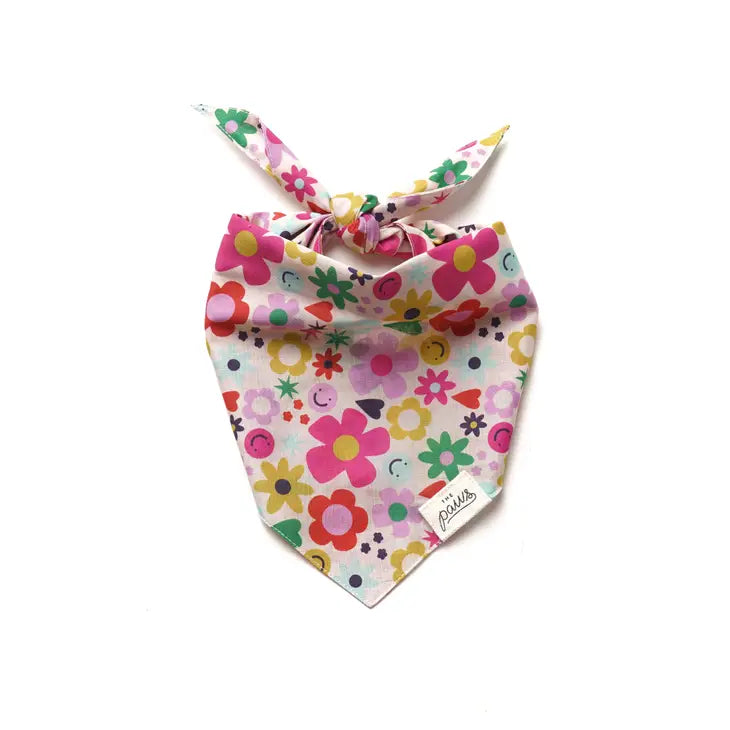 All Smiles Bandana | The Paws
