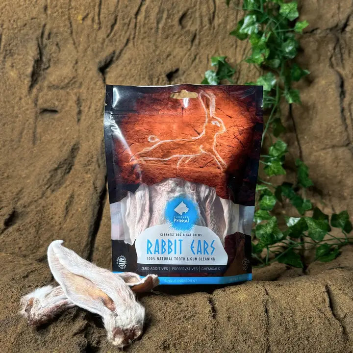 15-Ct Rabbit Ears | Furever Primal