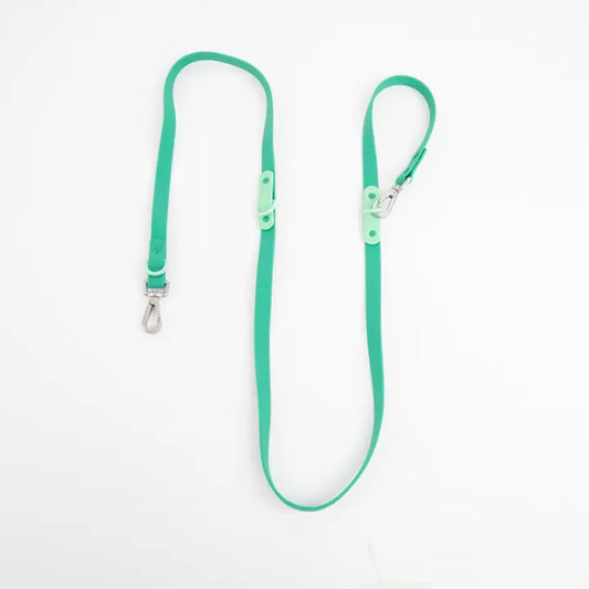 The Fritz Leash | Green
