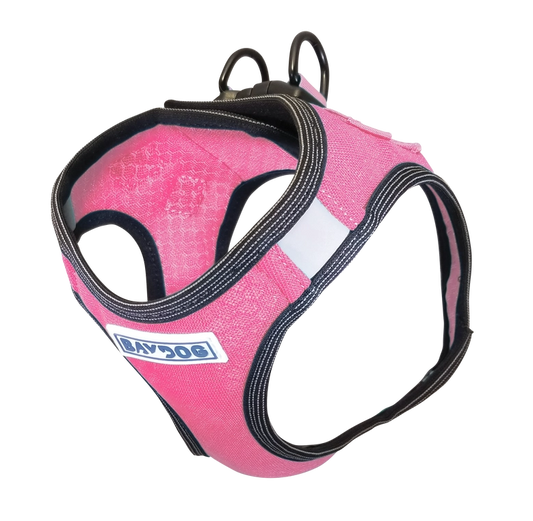 Pink Lemonade Liberty Bay Dog Harness