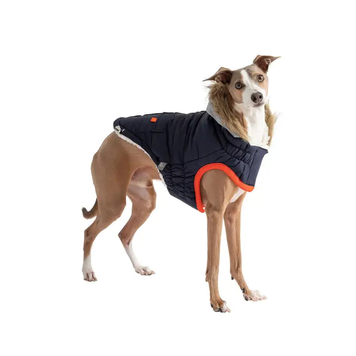 GF Pet Navy Winter Sailor Parka