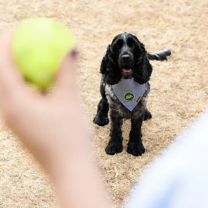 Fetch Fanatic Bandana Patch | Scout's Honour