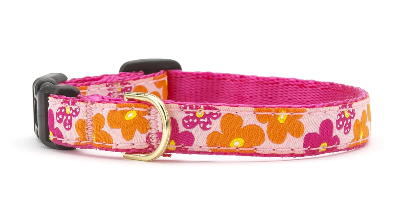Up Country Flower Power Small Breed Dog Collar