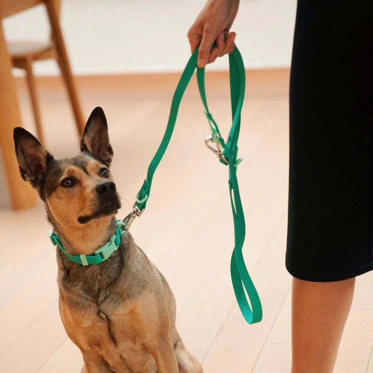 The Fritz Leash | Green