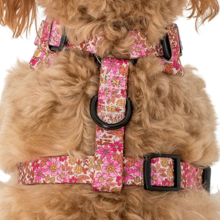 Pink Posie's Adjustable Harness