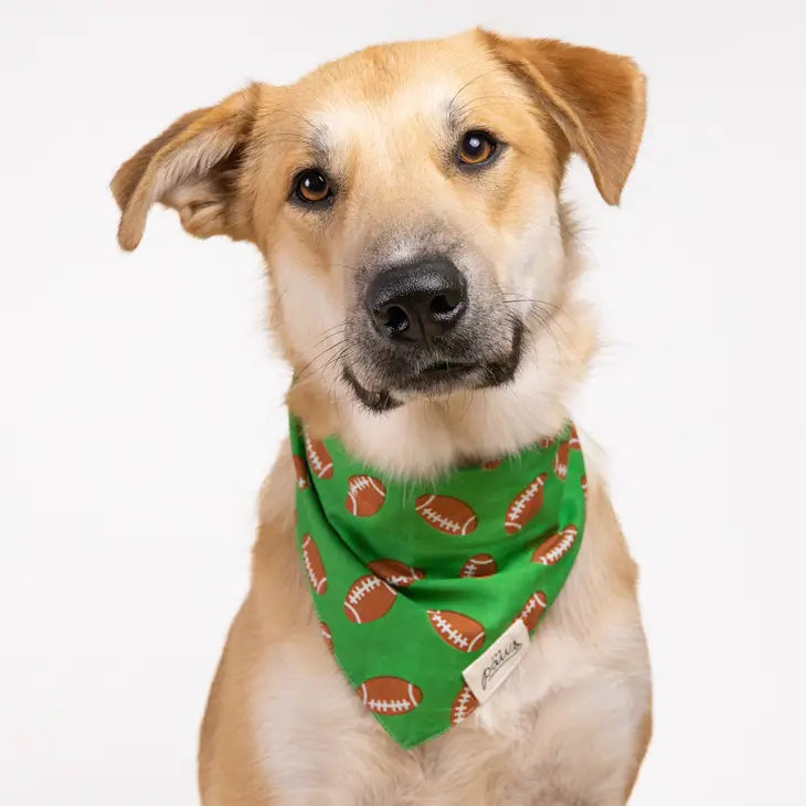 Defender Bandana