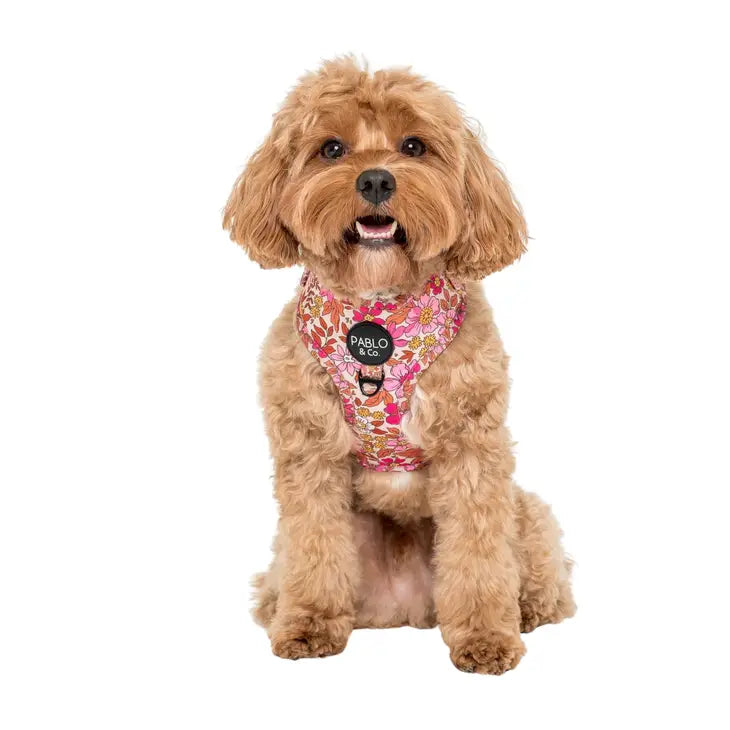 Pink Posie's Adjustable Harness