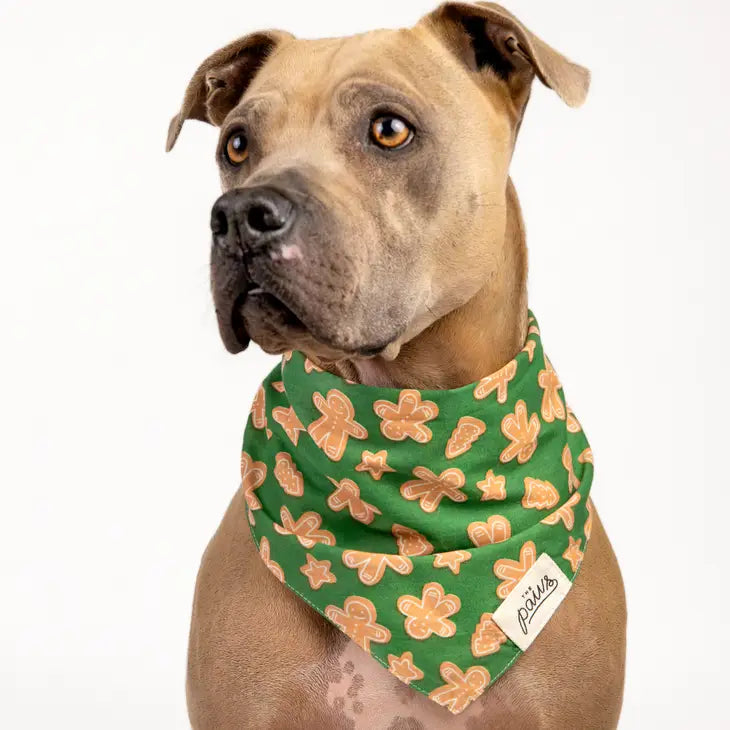 Frosting Bandana