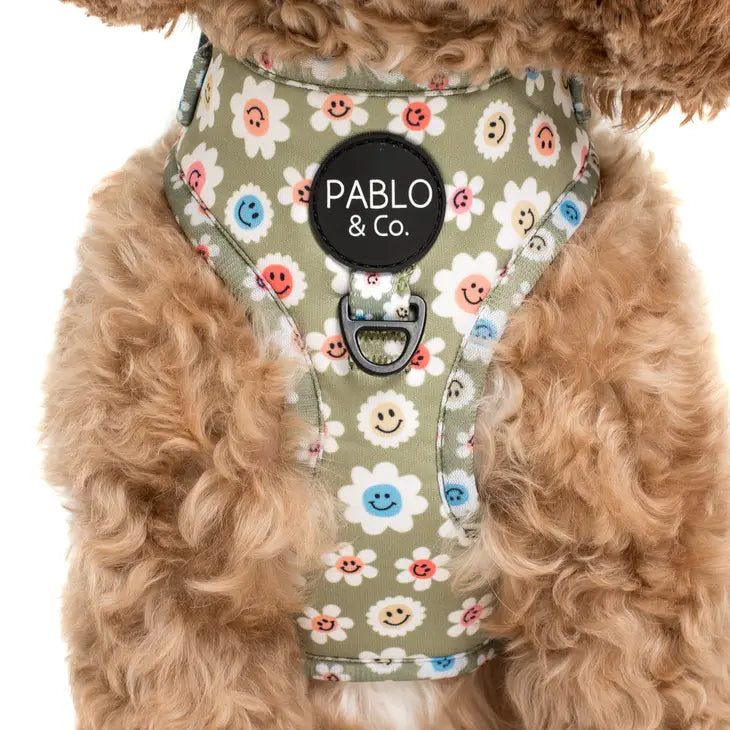 Smiley Flowers Adjustable Harness | Pablo & Co.