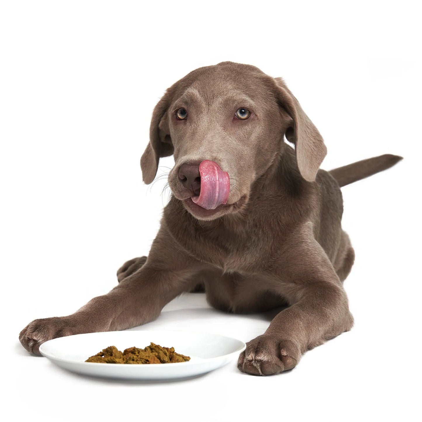 Lip Smacking Lamb Dehydrated Raw Food | SMACK