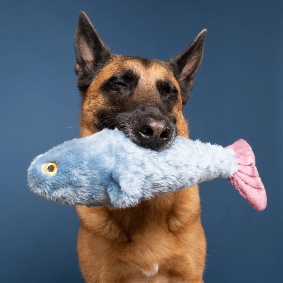 Fitz Fish Plush Toy