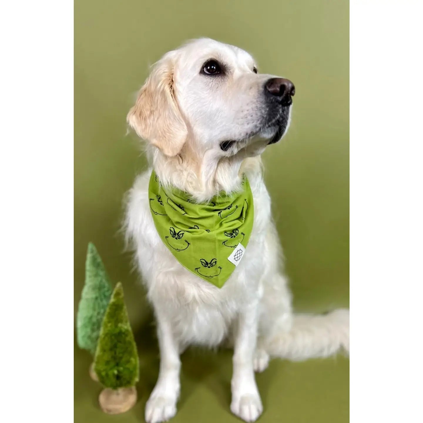 Grinch Dog Bandana
