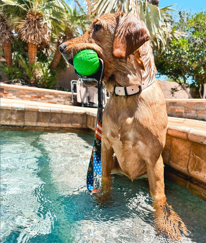 Grizzly Tug Ball