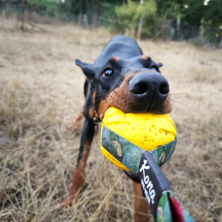 Grizzly Tug Ball