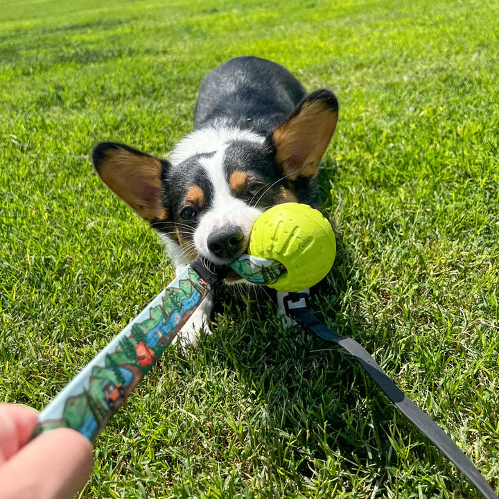 Grizzly Tug Ball