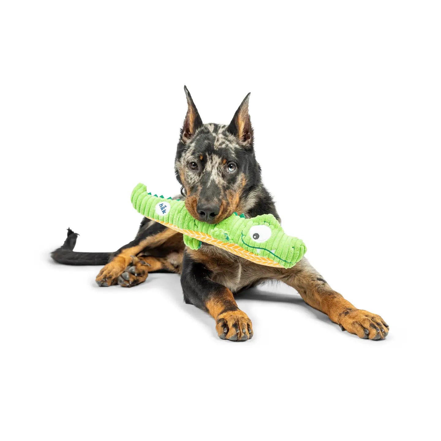 Fetchies Gus Gator Dog Toy