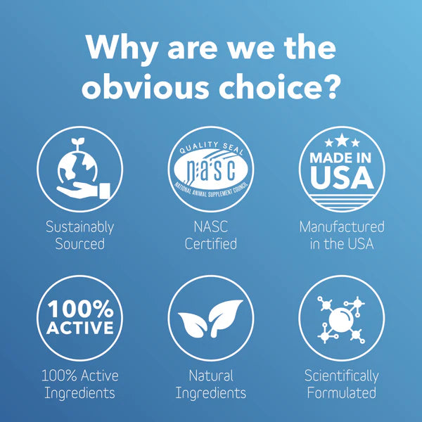 inClover Dog & Cat Biobrilliant Dental