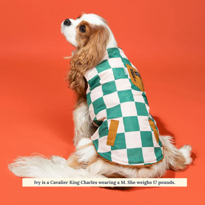 You're A Square Reversible Teddy Vest | Lucy & Co