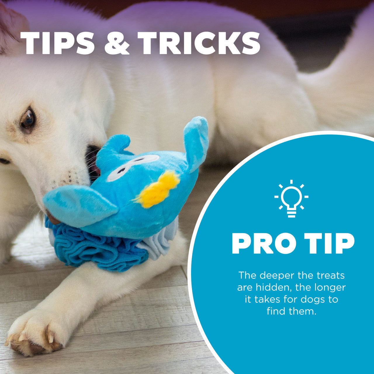 Stuff N' Snuffle Interactive Plush Ball