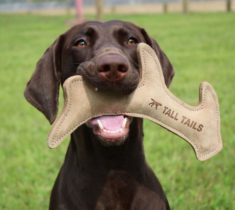 Natural Leather Antler