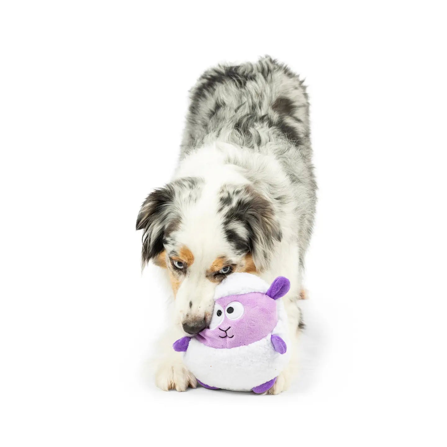 Pudgies Lady Baba Dog Toy