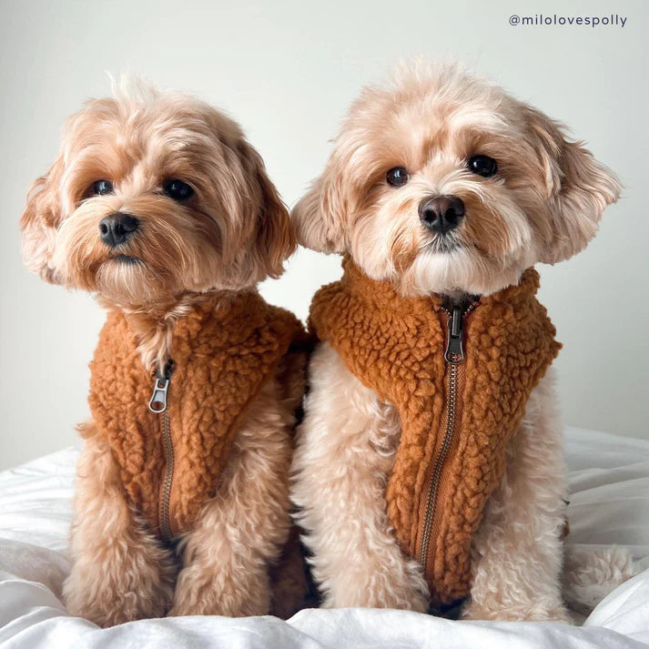 Take a Hike Reversible Teddy Vest | Lucy & Co