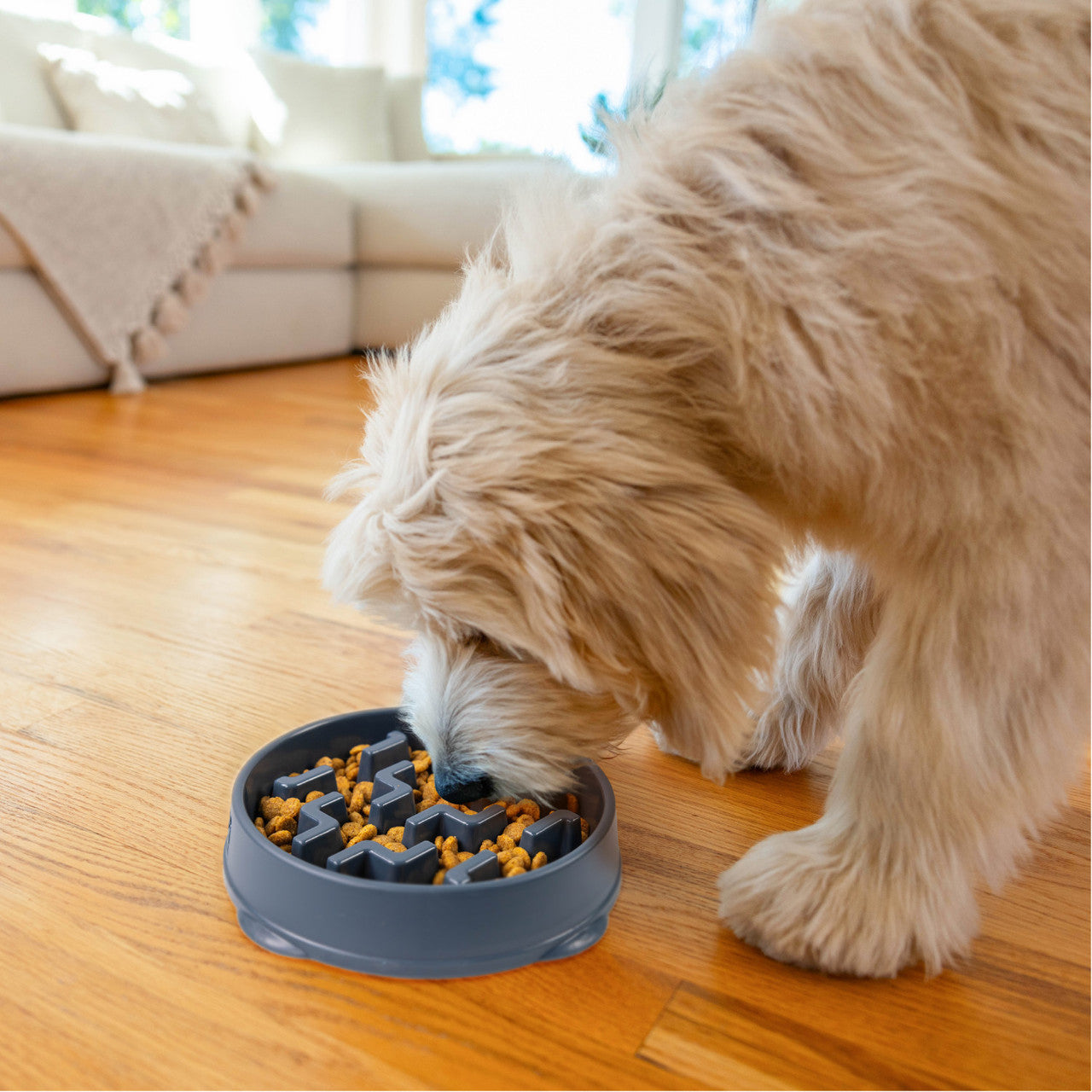 Outward Hound Carbon Notch Fun Feeder Slo-Bowl