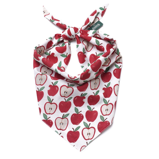 Orchard Dog Bandana