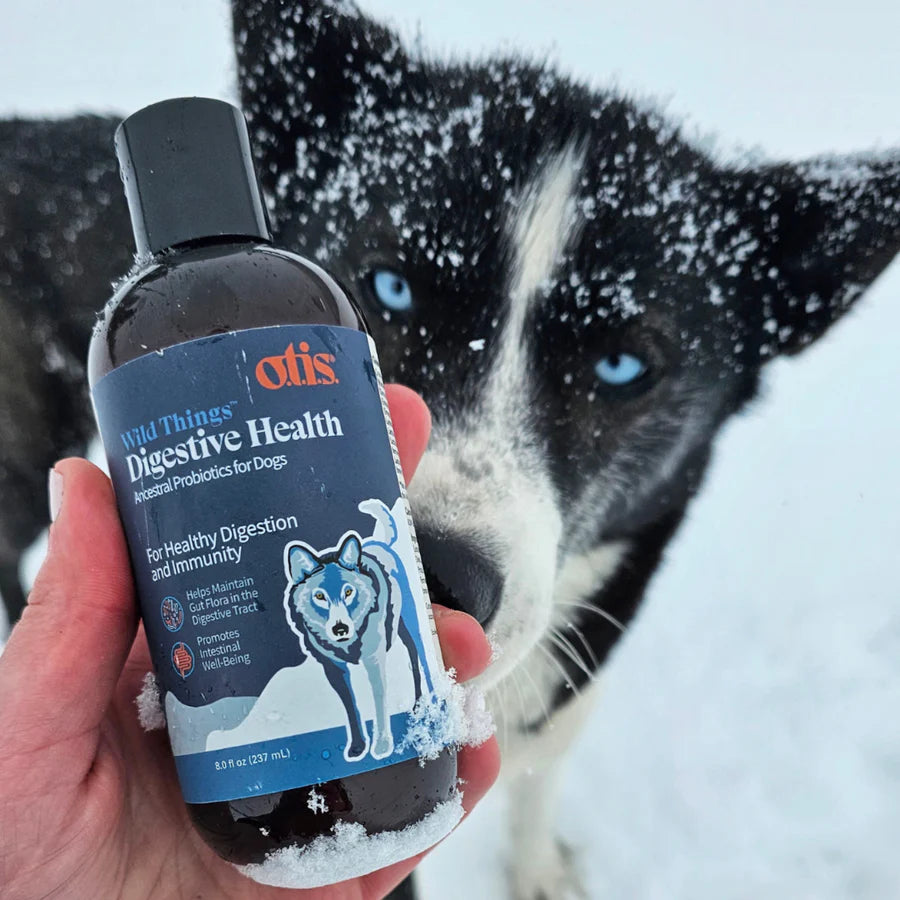 OTIS Digestive Health Probiotic