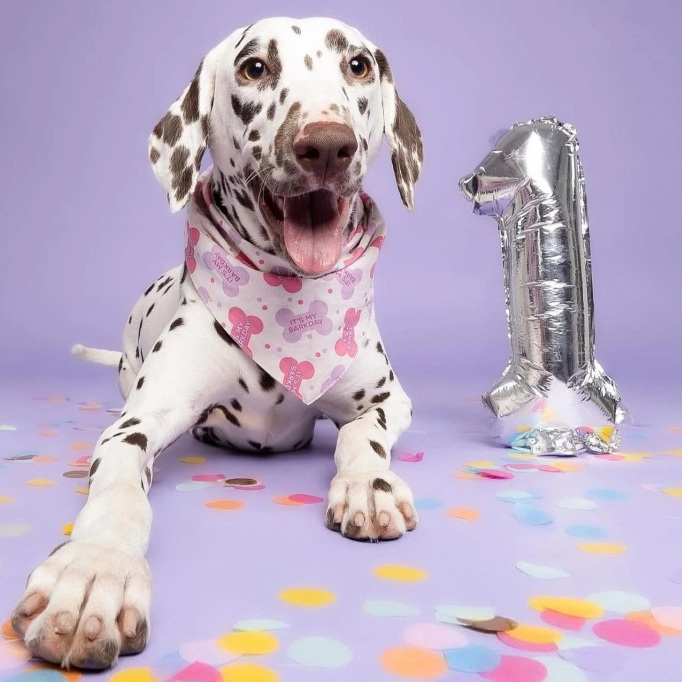 Let's Pawty - Birthday Pink Dog Bandana