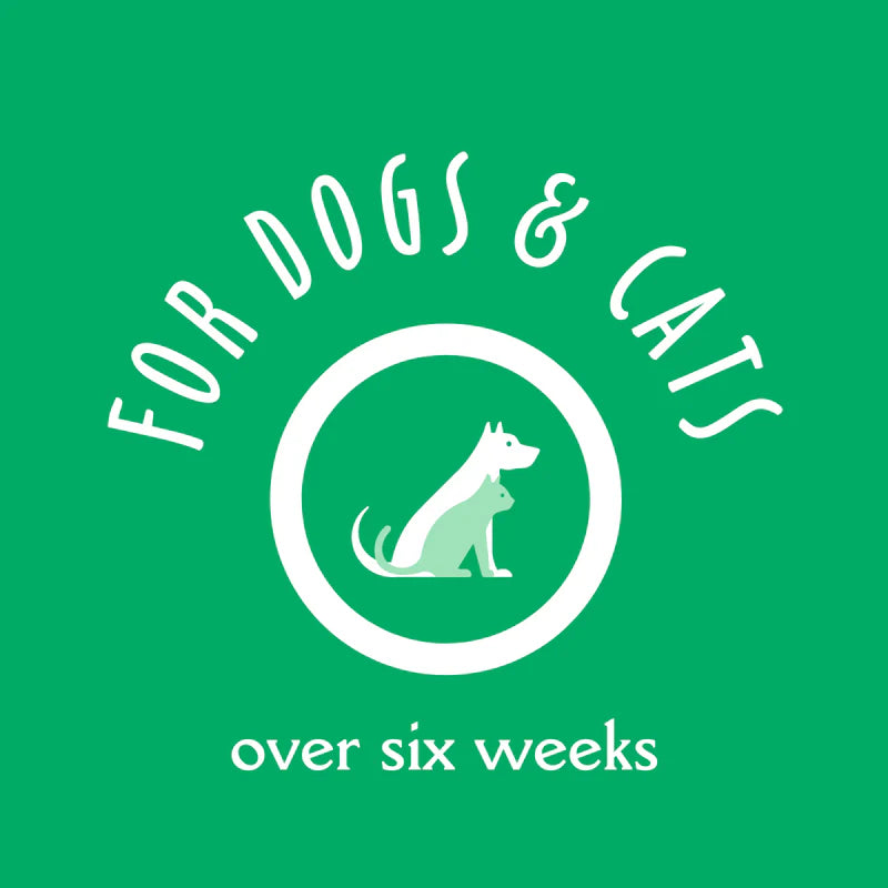 Earthbath Dog Paw Wash