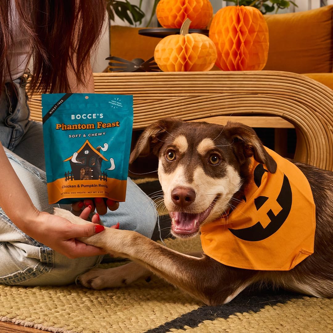 Bocce’s Phantom Feast Soft & Chewy Treats