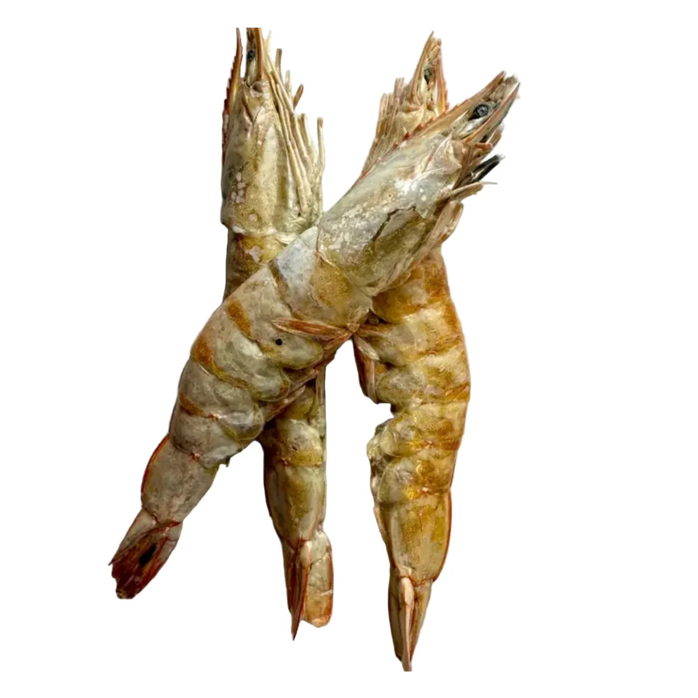 Prawn Freeze Dried Chew