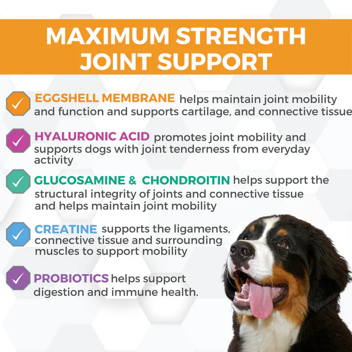 Progility Max Hip & Joint Chews | with Eggshell Membrane
