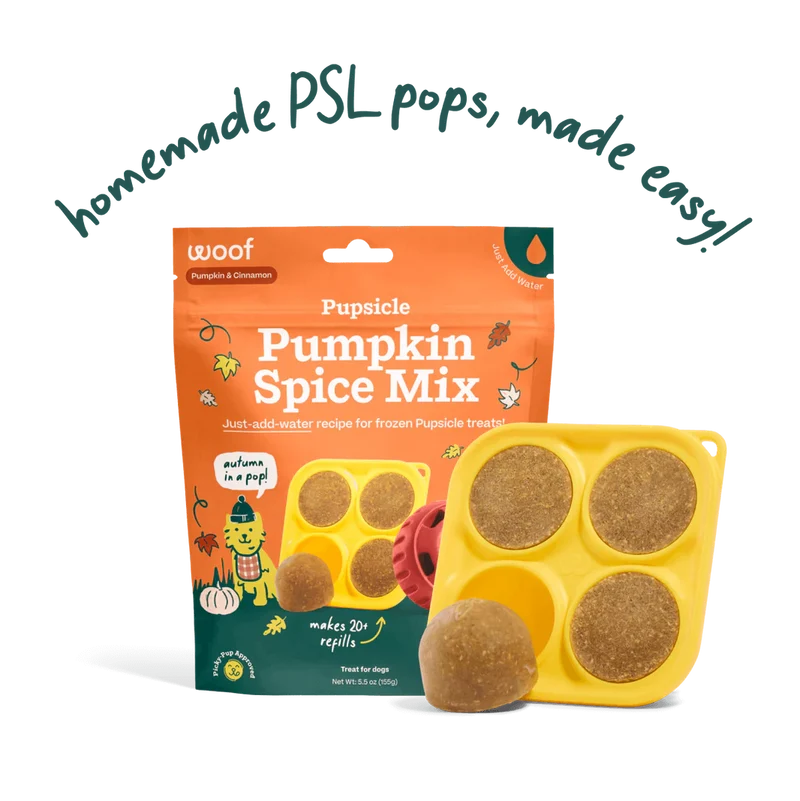 Woof Pupsicle Mix - Pumpkin Spice Limited Edition