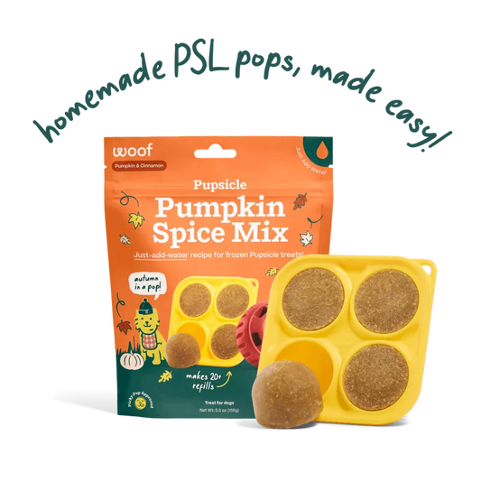 Woof Pupsicle Mix - Pumpkin Spice Limited Edition