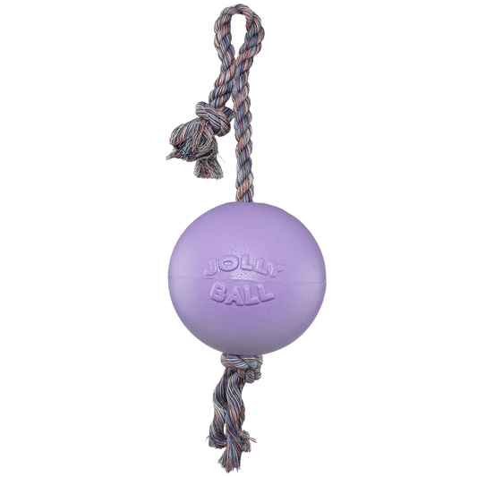 Jolly Pets Romp n' Roll - Light Purple