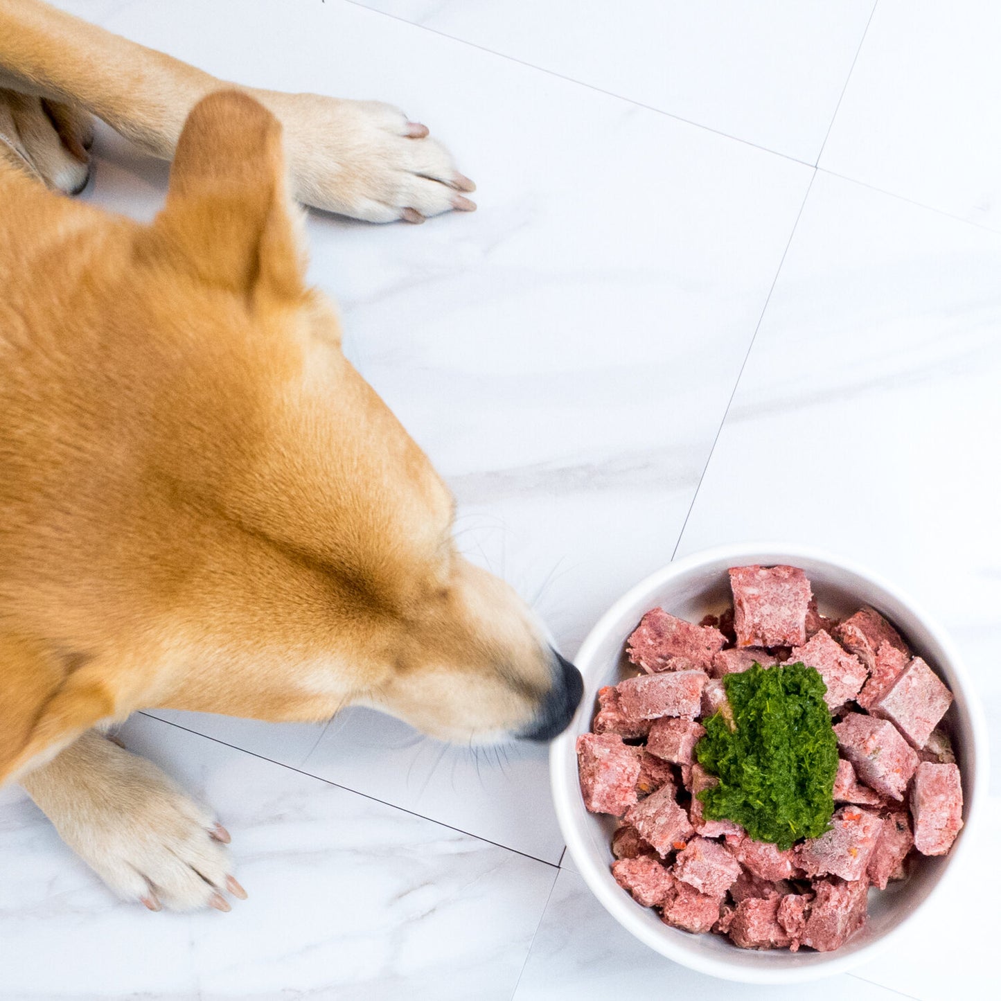 Bones & Co. Bark Boost