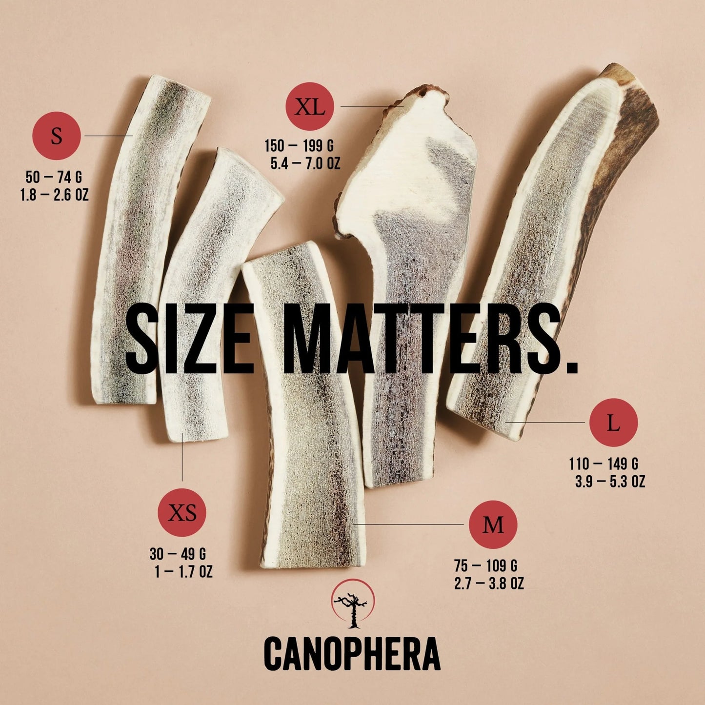 Split Red Deer Antlers